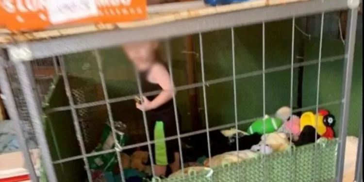 Rescatan a un niño de 2 años que vivía encerrado en una jaula