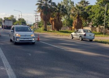 Impactante accidente en la Ruta 20: Perro suelto desata accidente entre moto y auto
