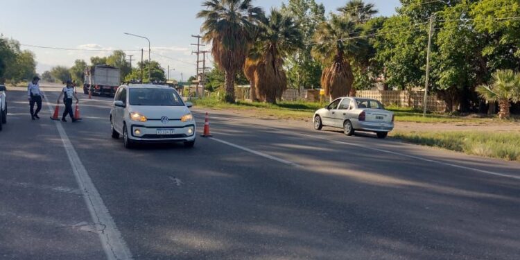 Impactante accidente en la Ruta 20: Perro suelto desata accidente entre moto y auto