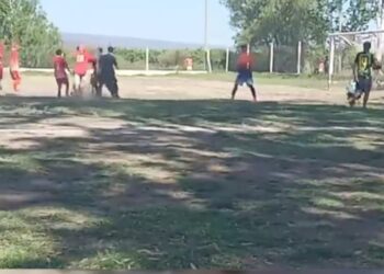 VIDEO: Jugadores agredieron a un árbitro y atacan a la policía en pleno partido