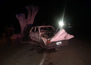 Se habría dormido: Un joven se estrelló contra un árbol en plena madrugada