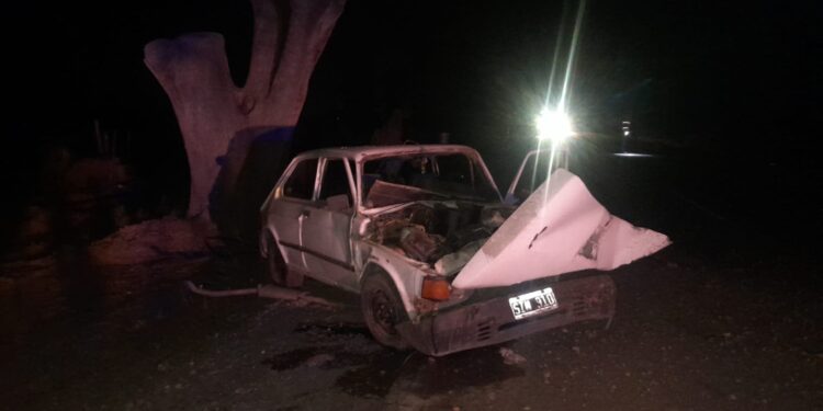 Se habría dormido: Un joven se estrelló contra un árbol en plena madrugada
