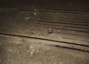 Intentó cruzar las vías y un tren lo arrolló: sobrevivió con heridas graves