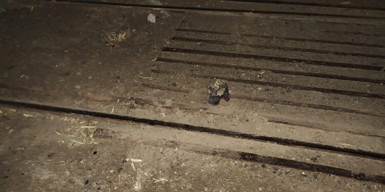 Intentó cruzar las vías y un tren lo arrolló: sobrevivió con heridas graves