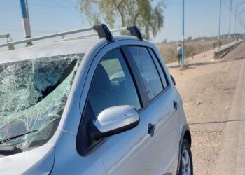 Siniestro fatal en Ruta 40: conductor se durmió y atropelló a un ciclista