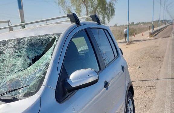 Siniestro fatal en Ruta 40: conductor se durmió y atropelló a un ciclista