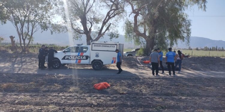 Conmoción: Un hombre de 51 años falleció mientras trabajaba en el campo