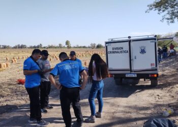 Conmoción: Un hombre de 51 años falleció mientras trabajaba en el campo
