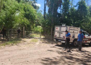 Descubrimiento en Zonda: huesos en un canal generan alarma