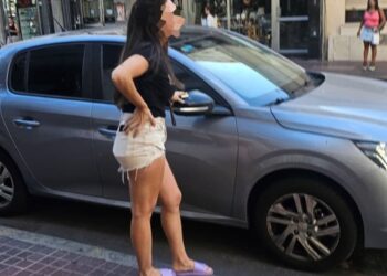 Dejó a su perro encerrado en el auto y el animal murió sofocado