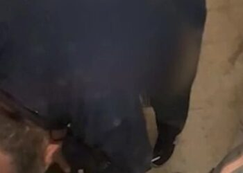 Graban a comerciante en aberrante video