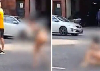 Una sanjuanina se tiró semidesnuda desde un edificio: era obligada a prostituirse