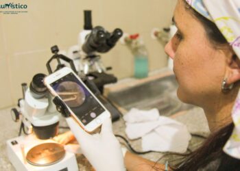 Avance histórico en la fauna cuyana: investigan parásito único en tortugas terrestres