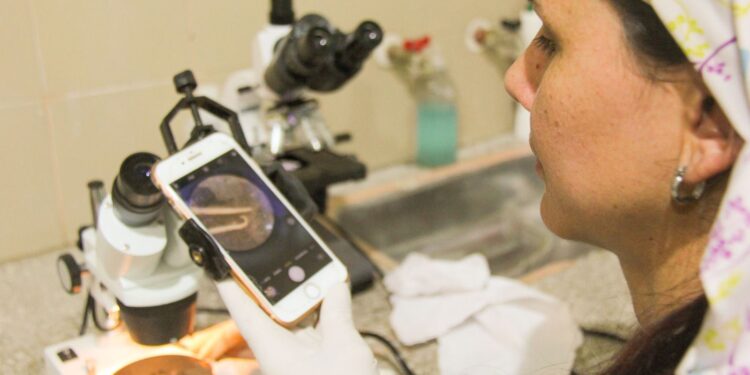 Avance histórico en la fauna cuyana: investigan parásito único en tortugas terrestres
