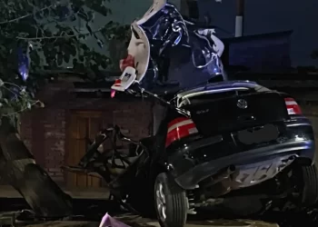 Cuatro jóvenes se mataron al chocar contra un árbol en Mendoza