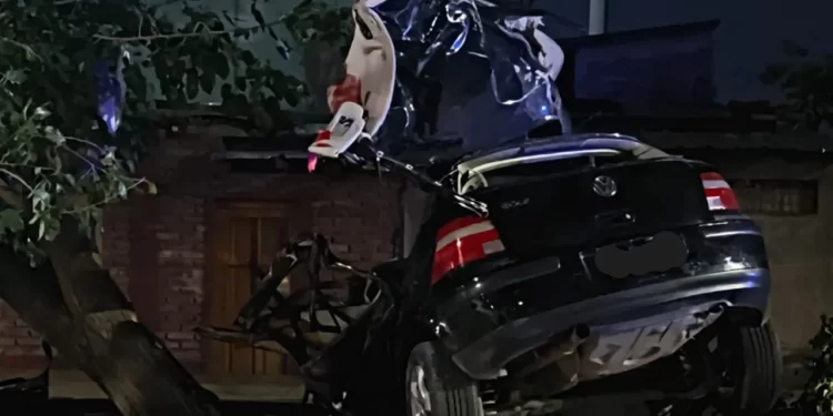 Cuatro jóvenes se mataron al chocar contra un árbol en Mendoza