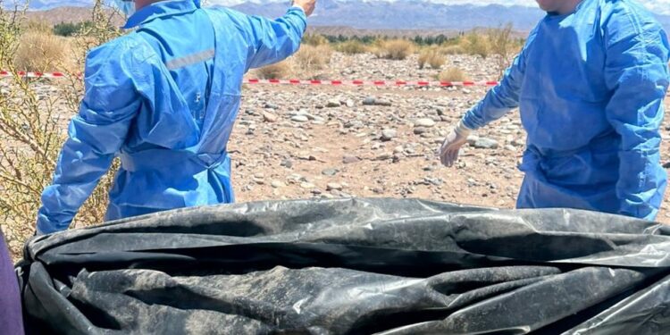 Horror y misterio: un menor de 15 años fue encontrado sin vida