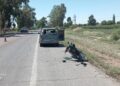 Grave accidente en la Ruta 20 dejó a un motociclista herido en Caucete
