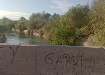 Policías sanjuaninos salvaron a una mujer que se arrojó a un canal