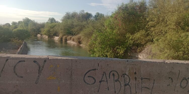 Policías sanjuaninos salvaron a una mujer que se arrojó a un canal