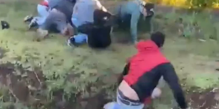 VIDEO: Violenta pelea a ladrillazos en la Fiesta Nacional del Chivo