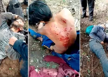 Cosechadores fueron heridos por un rayo mientras estaban abajo de un árbol