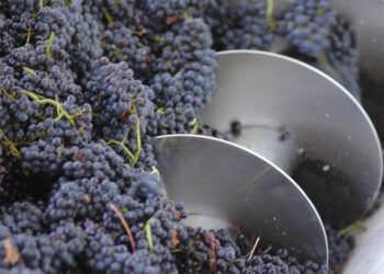 Terror en Rivadavia: atacaron a un colectivero y lo dejaron ensangrentado