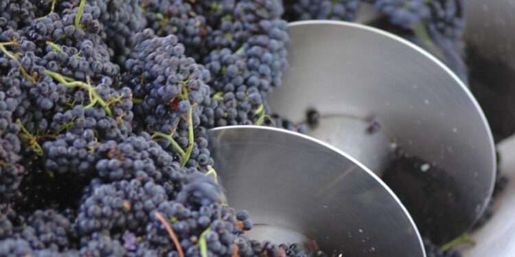 Terror en Rivadavia: atacaron a un colectivero y lo dejaron ensangrentado