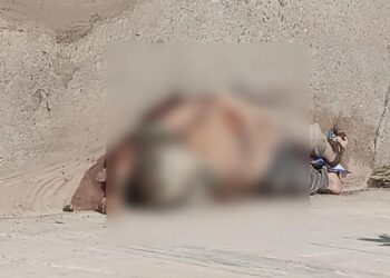 Impactante: encontraron un hombre muerto en un zanjón