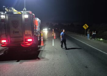 Fuertes imágenes: Así quedó el auto del joven que murió en la Ruta 20