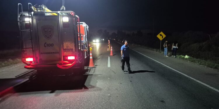 Fuertes imágenes: Así quedó el auto del joven que murió en la Ruta 20