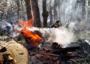 Así combaten el fuego en Río Negro los bomberos sanjuaninos enviados por Orrego