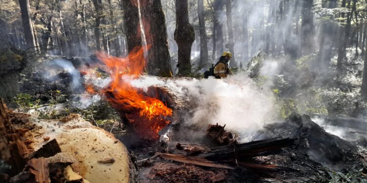 Así combaten el fuego en Río Negro los bomberos sanjuaninos enviados por Orrego
