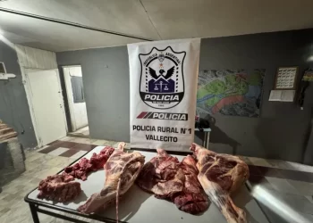 Decomisaron un importante cargamento de carne sin cadena de frío