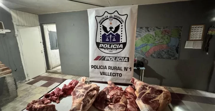 Decomisaron un importante cargamento de carne sin cadena de frío
