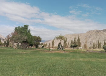Dolor en la Policía: un efectivo se disparó y falleció en un cementerio