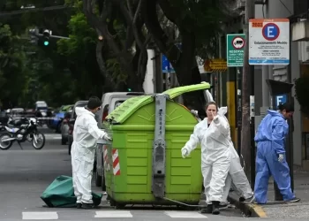 Horror: Encuentran restos humanos en contenedores y manchas de sangre