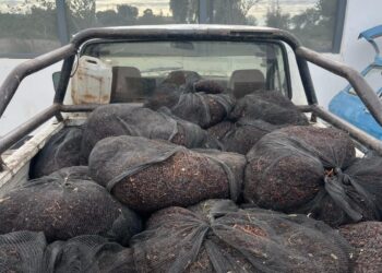 Sorprendidos en plena ruta: atrapados con 500 kilos de pasas robadas en Caucete