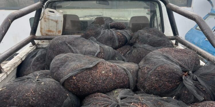 Sorprendidos en plena ruta: atrapados con 500 kilos de pasas robadas en Caucete