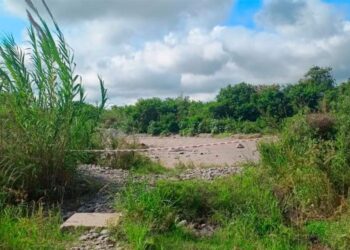 Horror: Encuentran a una niña de 7 años muerta a orillas del río