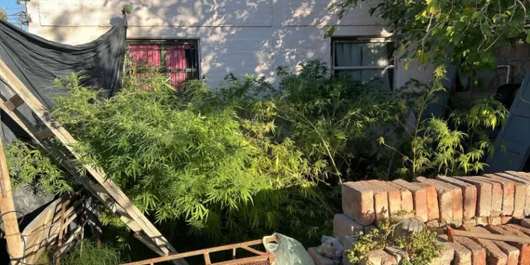 Un hombre mató a un presunto ladrón que intentó ingresar a su casa