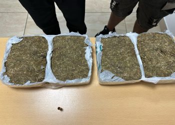 Viaje narco: descubren a una pasajera que trasladaba panes de marihuana a San Juan