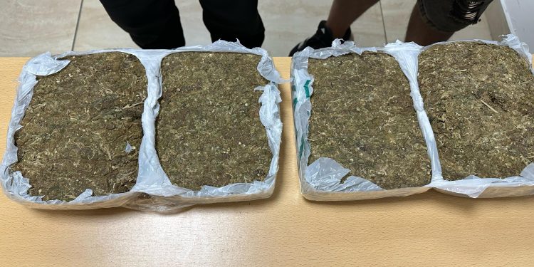 Viaje narco: descubren a una pasajera que trasladaba panes de marihuana a San Juan