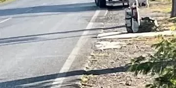 Polémica por el abandono de dos perros: un joven endurista señalado como responsable