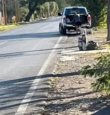 Polémica por el abandono de dos perros: un joven endurista señalado como responsable