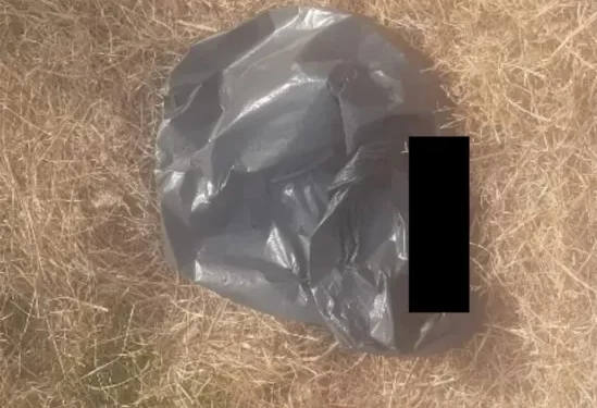 ¿Ritual satánico en Albardón? Encuentran a cuatro perros quemados en una bolsa