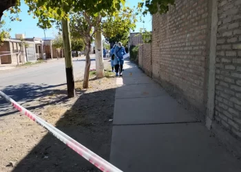 Un hombre mató a un presunto ladrón que intentó ingresar a su casa