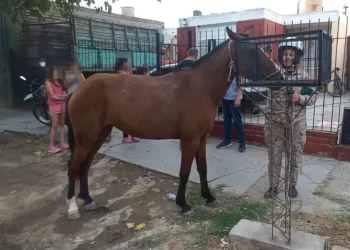 El insólito delito que protagonizaron en bicicleta tres chicos en Caucete