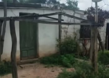 Dos hermanos detenidos por asesinar a su mamá y a su padrastro