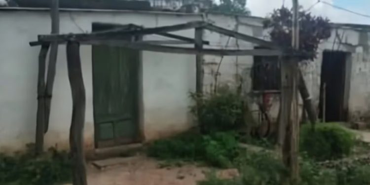 Dos hermanos detenidos por asesinar a su mamá y a su padrastro